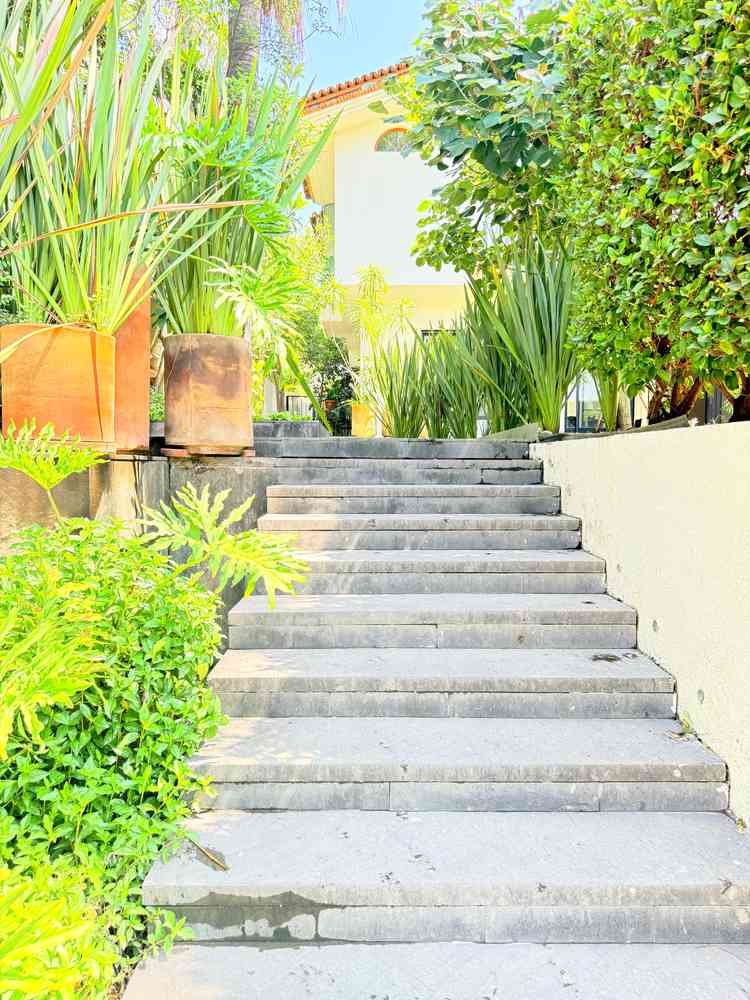 casa en renta avenida las palmas magna zapopan jalisco plIN0Rb